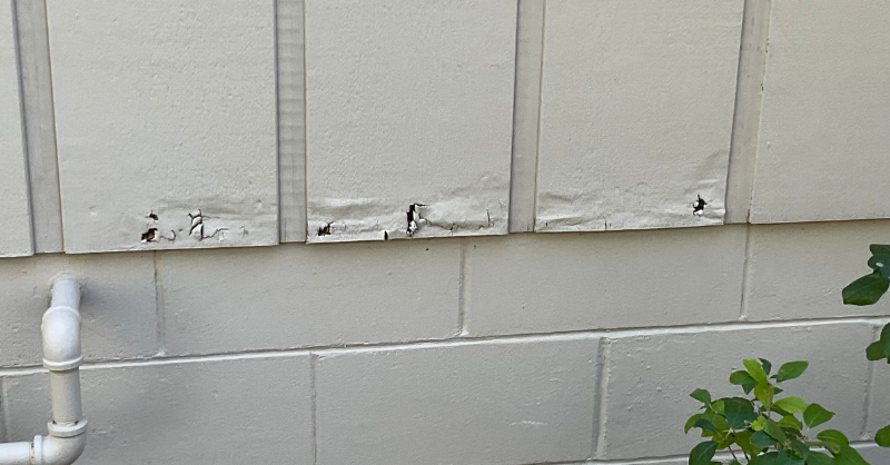 Light green exterior siding on house with bubbling and blistering paint.